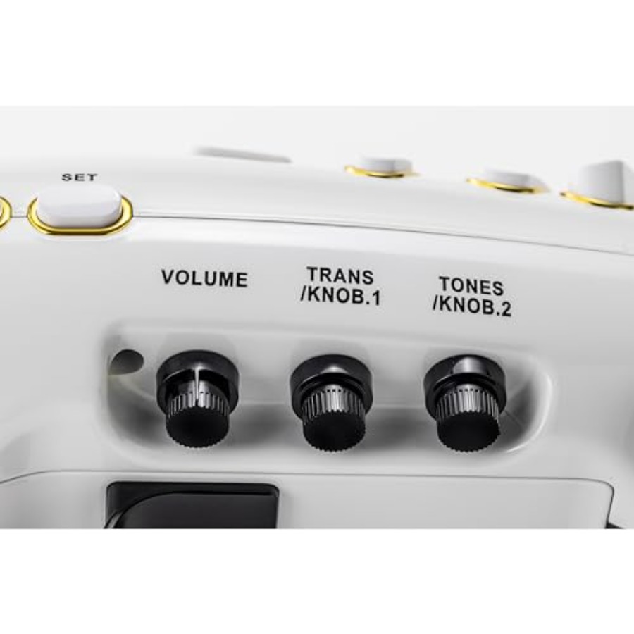Elesa Electronic Saxophone Dig - Musical Instrument Saxophone recension och pris