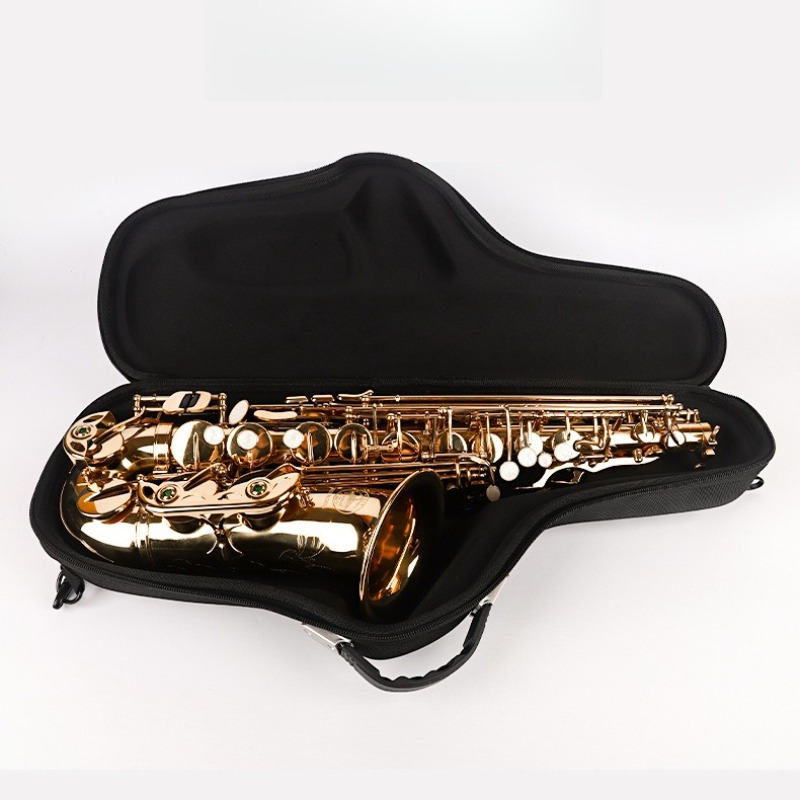 Oxford Cloth Alto Saxophone Ba - Musical Instrument Saxophone recension och pris