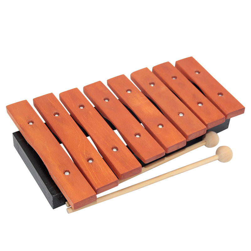 8 Note Xylophone Children Prof - Musical Instrument Maraca recension och pris