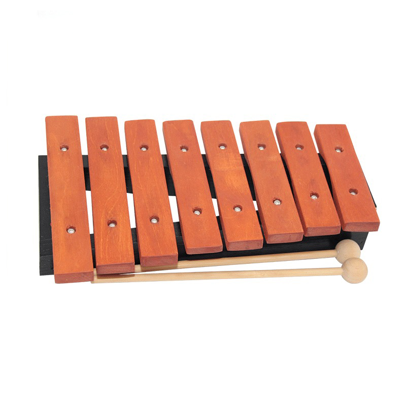8 Note Xylophone Children Prof - Musical Instrument Maraca recension och pris