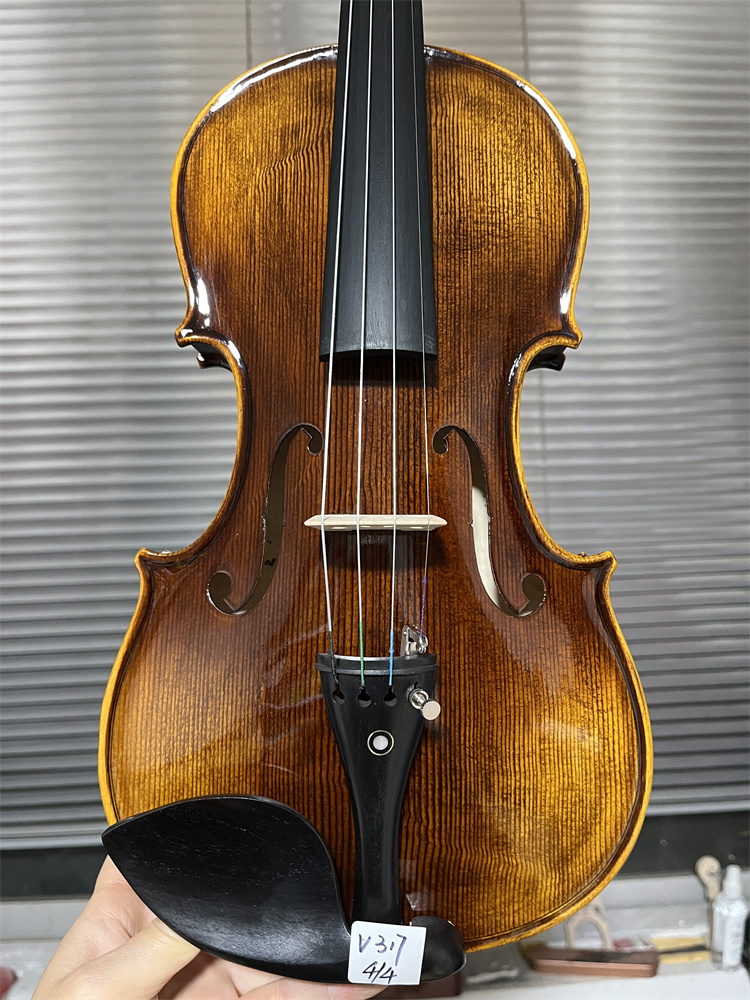 Limited Promotion Actual Photo - Musical Instrument Veena recension och pris